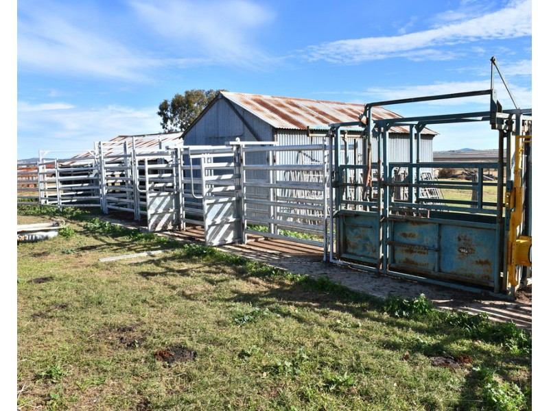 93 Fiechtners Lane, Ascot QLD 4359