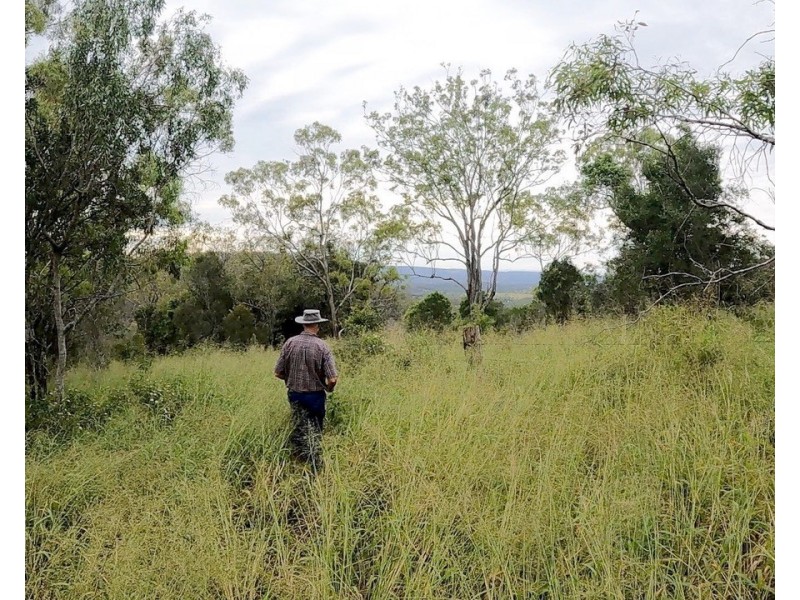 52 Berghofer Drive, Table Top Estate,, Withcott QLD 4352