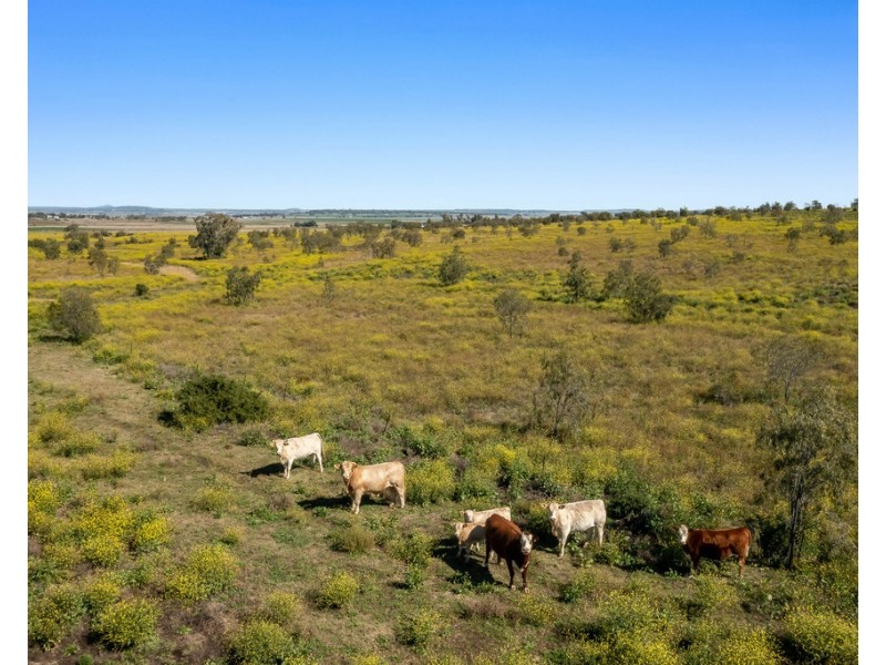 Lot 174 Kingsthorpe Haden Road, Kingsthorpe QLD 4400