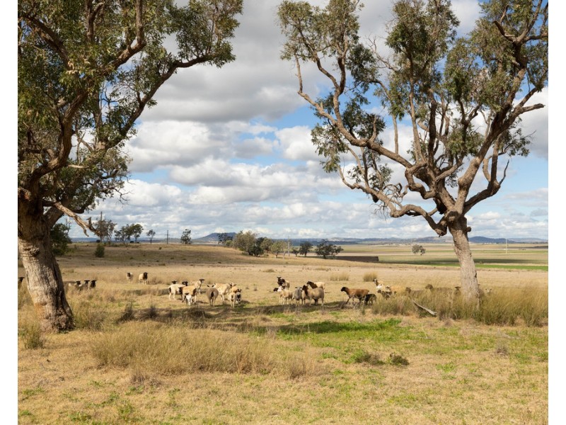 113 Oakey Crosshill Road, Oakey QLD 4401