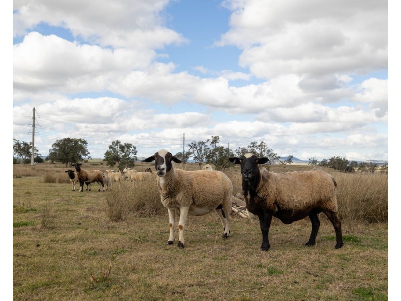 113 Oakey Crosshill Road, Oakey QLD 4401
