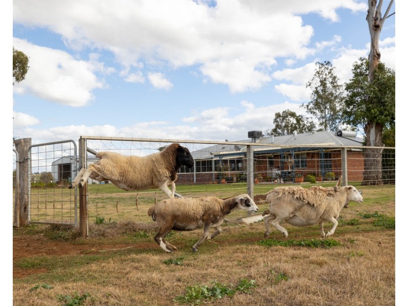 113 Oakey Crosshill Road, Oakey QLD 4401