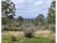 Lot 320 Coalbank Boundary Road, Doctor Creek QLD 4352