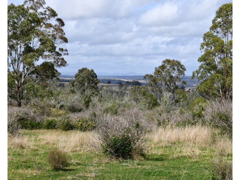 Lot 320 Coalbank Boundary Road, Doctor Creek QLD 4352