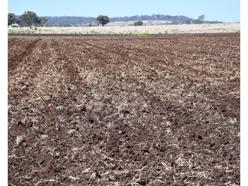 581 Toowoomba-Karara Road, Wyreema QLD 4352