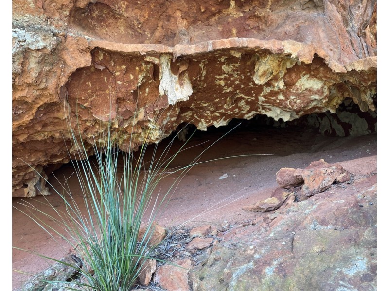 203 Paddys Creek Road, Millmerran QLD 4357