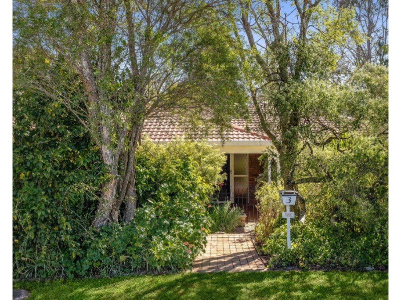 3 Palm Court, Rangeville QLD 4350