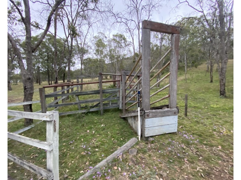 221 Hendrie Road, Upper Pilton QLD 4361