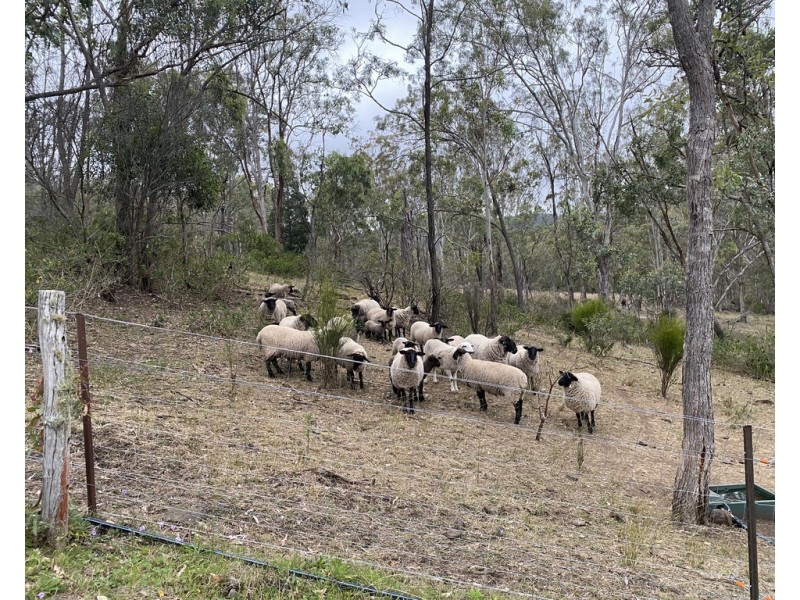 221 Hendrie Road, Upper Pilton QLD 4361