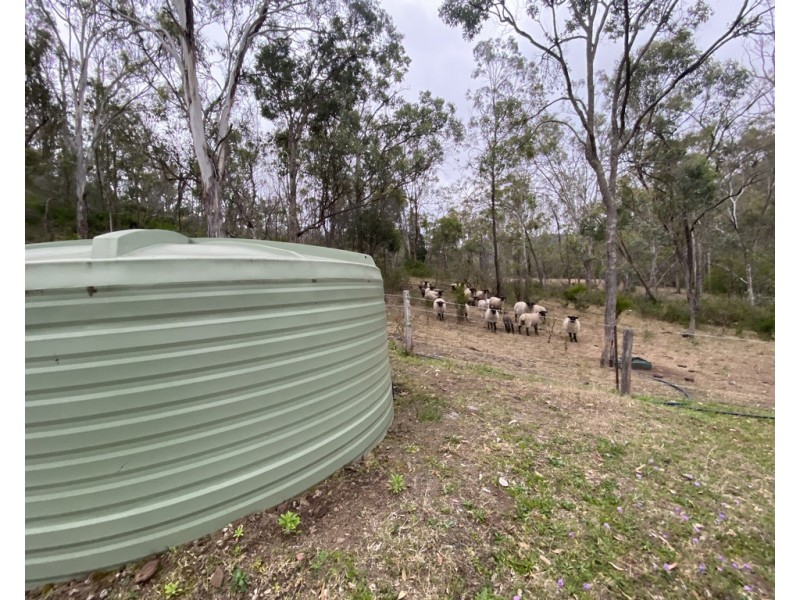 221 Hendrie Road, Upper Pilton QLD 4361