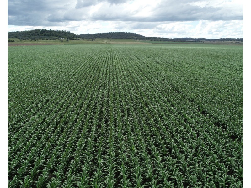 310 Cambooya-Felton Rd, Cambooya QLD 4358