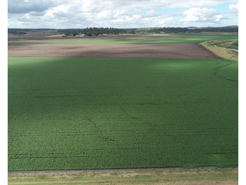 310 Cambooya-Felton Rd, Cambooya QLD 4358