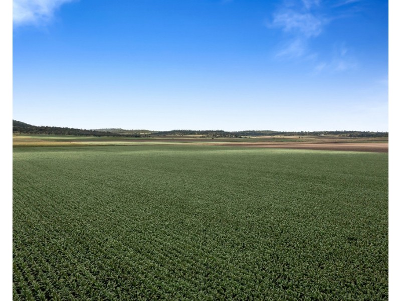 310 Cambooya-Felton Rd, Cambooya QLD 4358