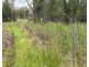 Lot 5 Hirstglen Road, Hirstglen QLD 4359