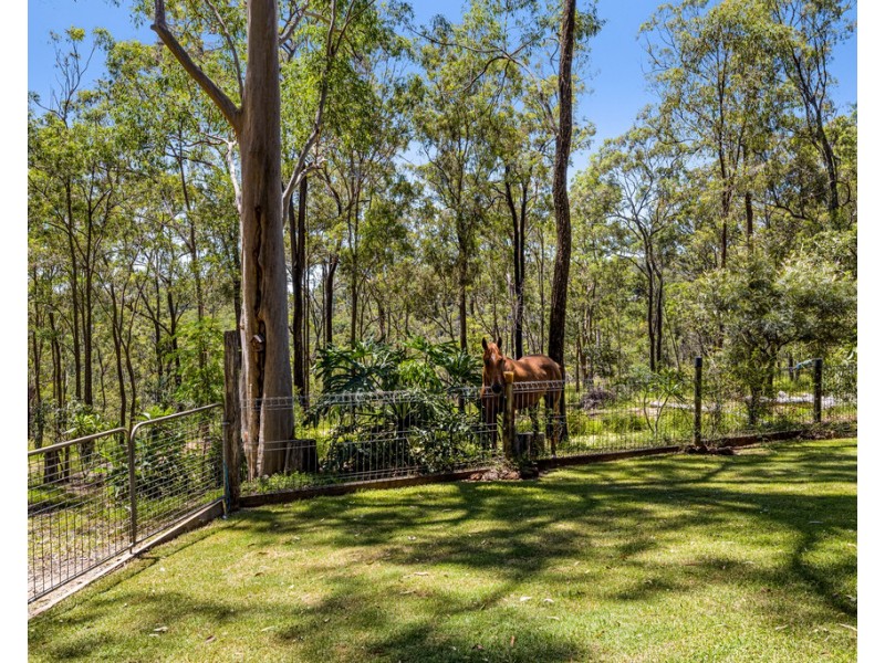 17 Clive Crescent, Withcott QLD 4352