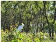 18 Keats Road, Goombungee QLD 4354