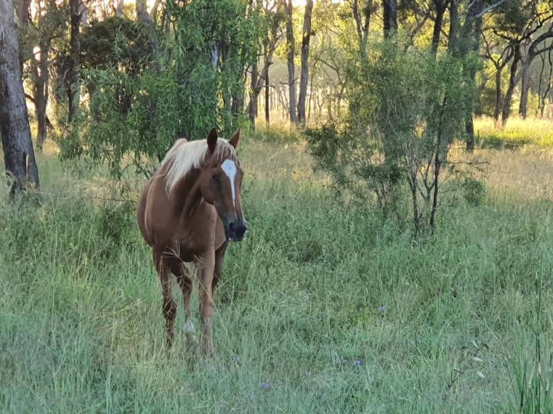 18 Keats Road, Goombungee QLD 4354