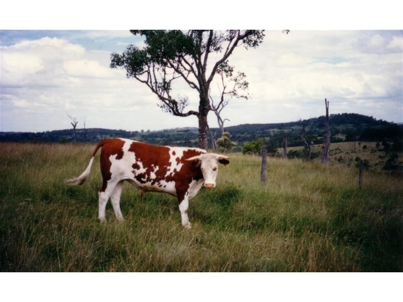 Thornville QLD 4352