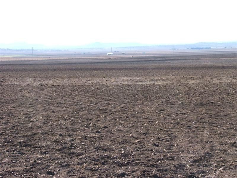 Aubigny QLD 4401