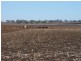 Aubigny QLD 4401