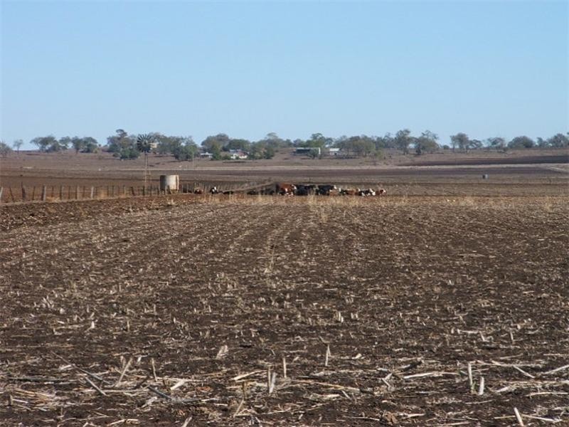 Aubigny QLD 4401
