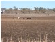 Aubigny QLD 4401