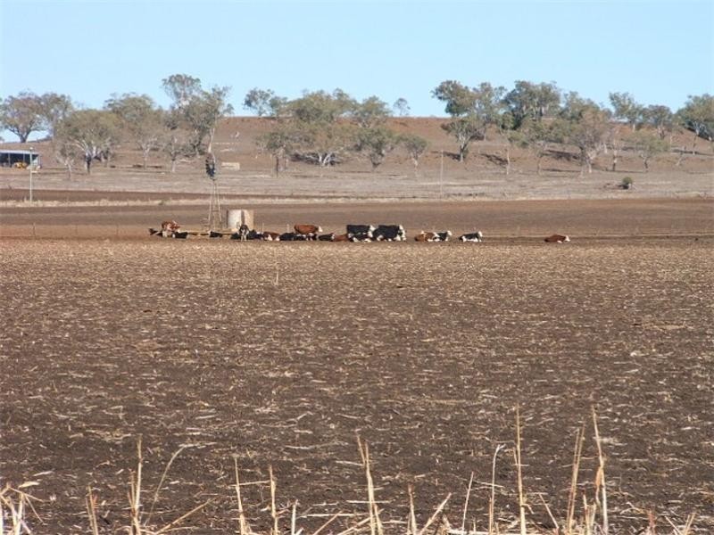 Aubigny QLD 4401