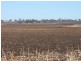Aubigny QLD 4401