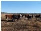 Aubigny QLD 4401