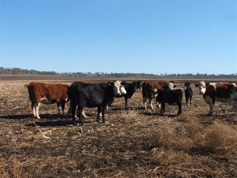 Aubigny QLD 4401