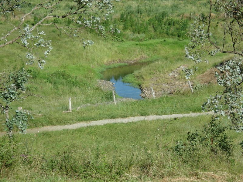 15 Northerly Drive, Hodgson Vale QLD 4352