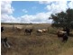 Kulpi QLD 4352