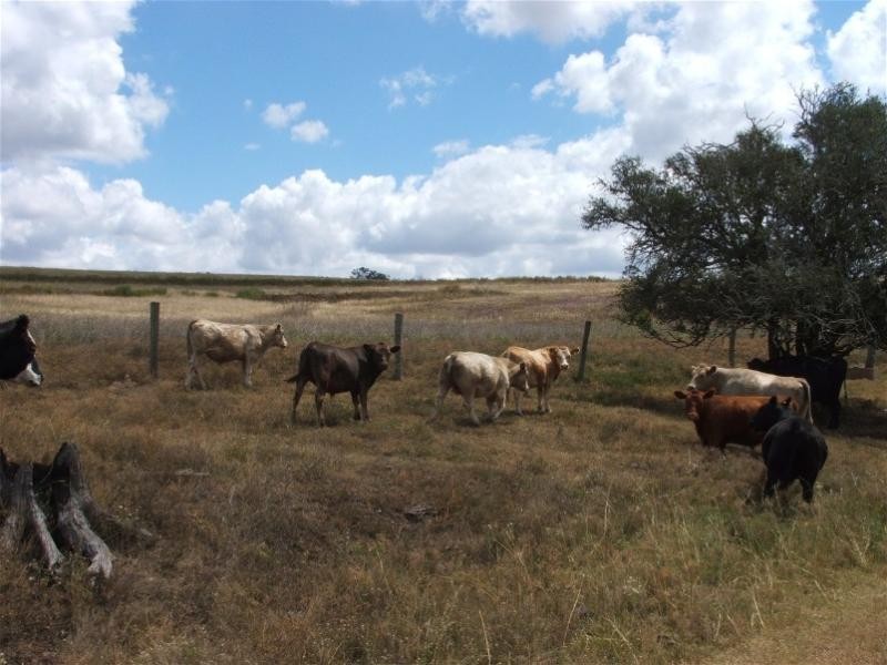 Kulpi QLD 4352