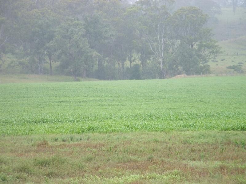 0 Preston Road, Whichello, Groomsville QLD 4352