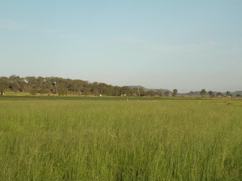Oakey QLD 4401