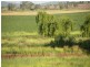 Oakey QLD 4401