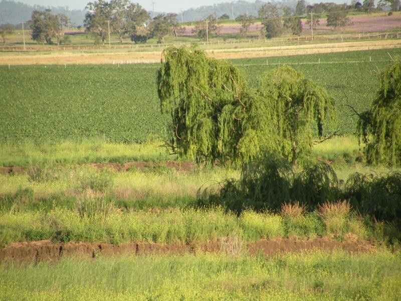 Oakey QLD 4401
