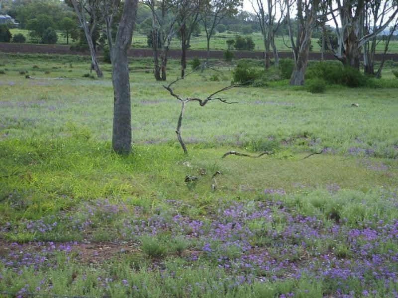 - Oakey-Cooyar Road, Oakey QLD 4401
