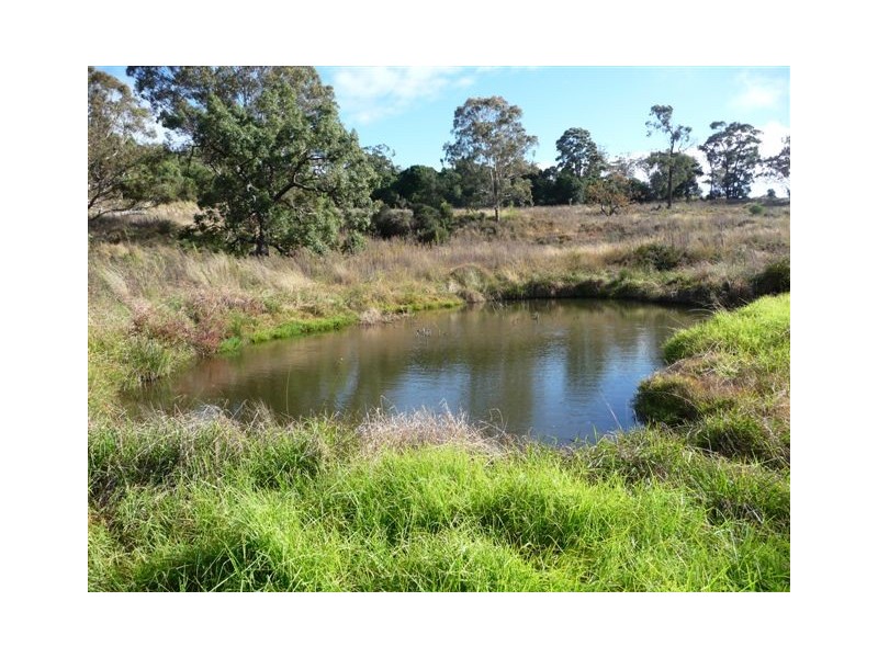 Peranga QLD 4352