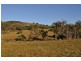 Peranga QLD 4352