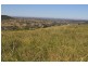 Peranga QLD 4352