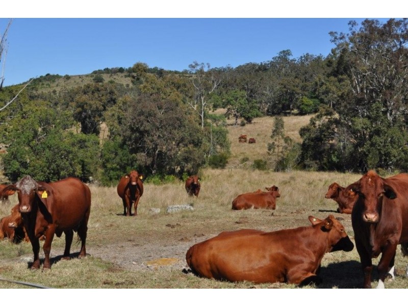 Peranga QLD 4352