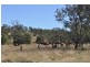 Peranga QLD 4352