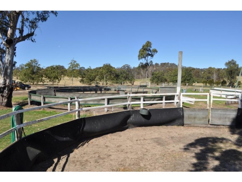 120 Euston Road, Glenvale QLD 4350