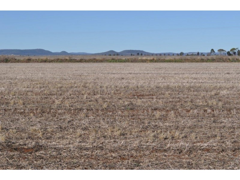 272 Weidman Road, Clifton QLD 4361