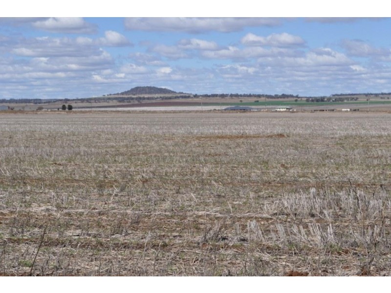 272 Weidman Road, Clifton QLD 4361