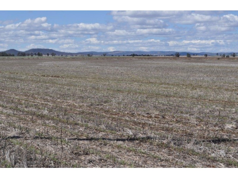 272 Weidman Road, Clifton QLD 4361