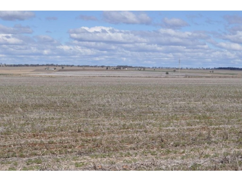 272 Weidman Road, Clifton QLD 4361