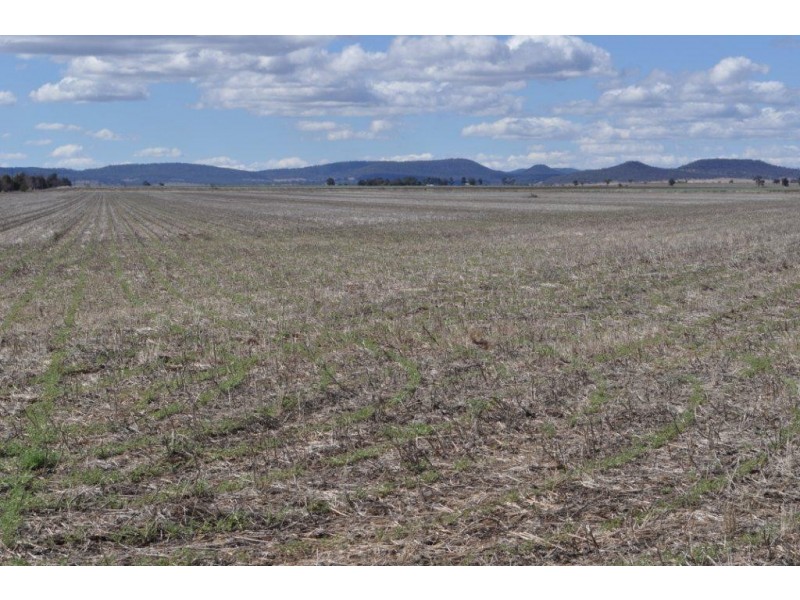 272 Weidman Road, Clifton QLD 4361