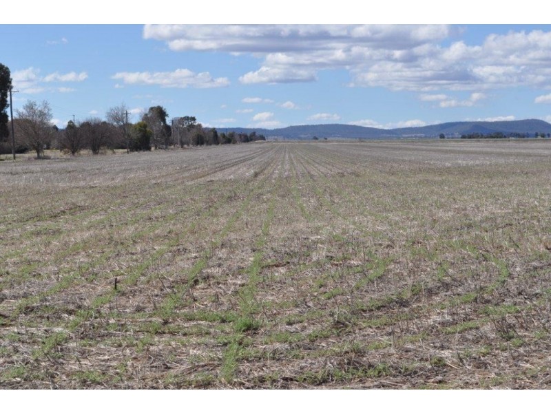 272 Weidman Road, Clifton QLD 4361